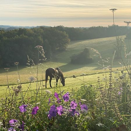 Domaine De Cazal - Gite 2 Pers Avec Piscine Au Coeur De 26 Hectares De Nature Preservee Saint-Cyprien  Dış mekan fotoğraf