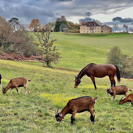 Domaine De Cazal - Gite 2 Pers Avec Piscine Au Coeur De 26 Hectares De Nature Preservee Saint-Cyprien  Dış mekan fotoğraf